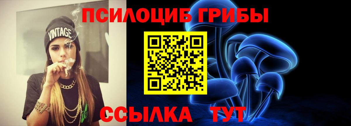 Калач-на-Дону  цены   Вход с VPN  Галлюциногенные грибы прущие грибы 
